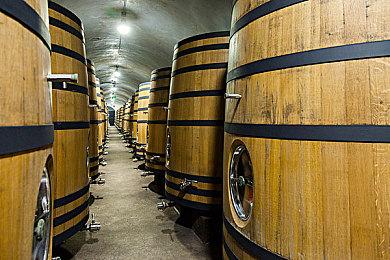 《命运2：邪姬魅影》限时免费了！《光陨之秋》五折史低钜惠来袭！